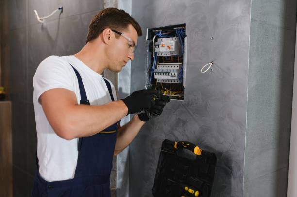 Best Electrician for Home Renovation  in St Clair Shores, MI